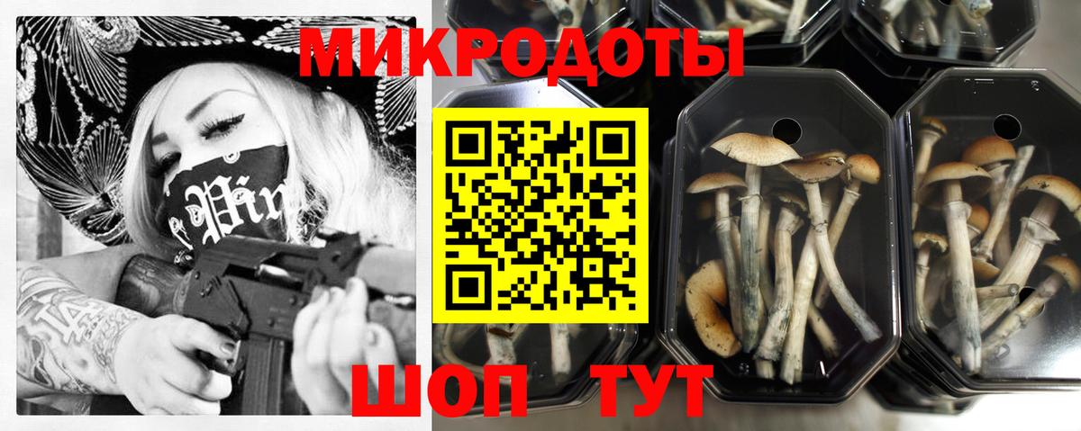 Галлюциногенные грибы прущие грибы  Вход с VPN  Павлово 
